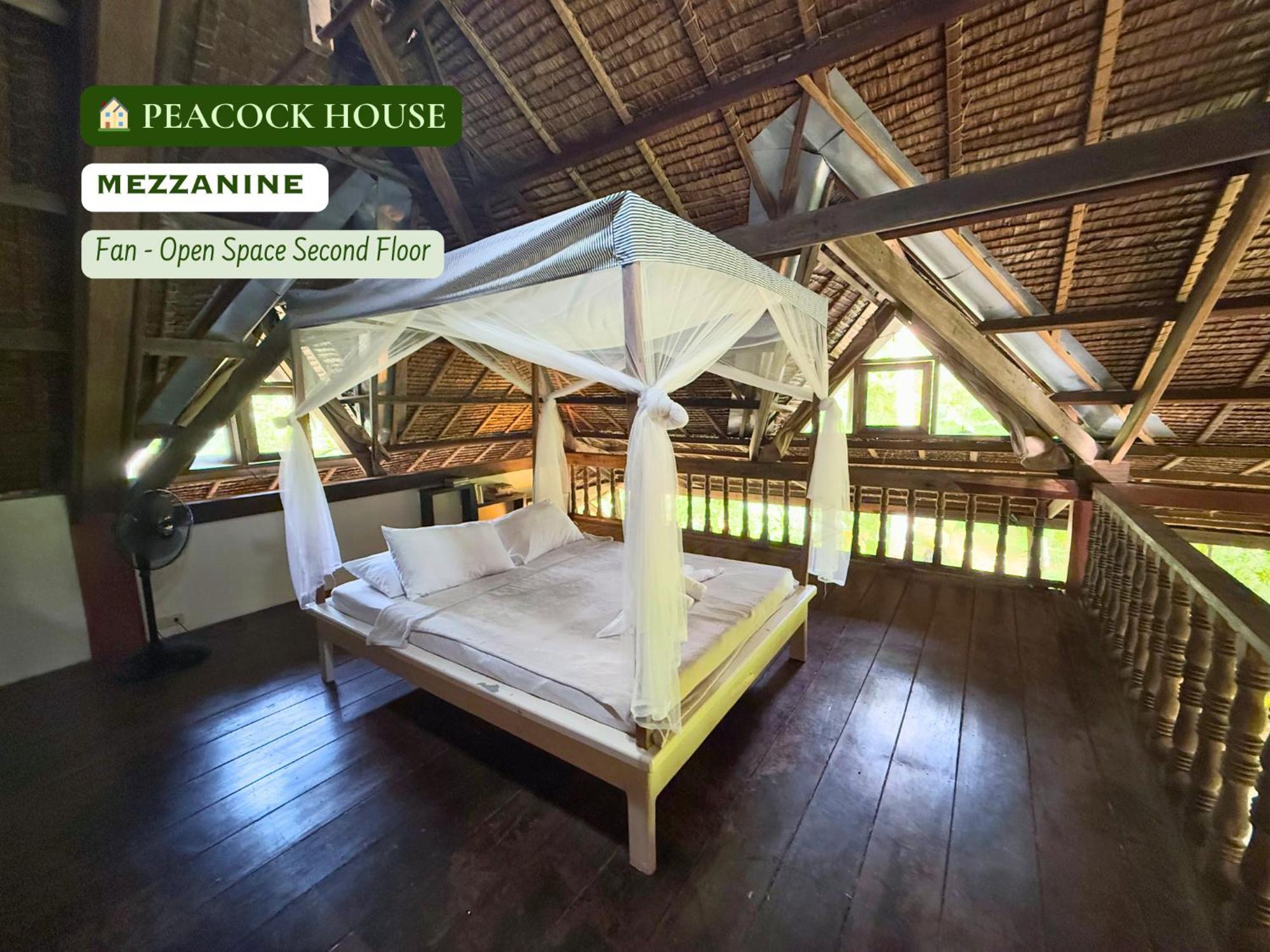 Emerald House Village General Luna  Room photo